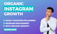 do organic instagram promotion