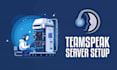 set up your custom teamspeak server