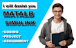 do your matlab programming, simulink, image, signal processing and gui projects