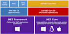 develop asp net core web app and rest API with sql server