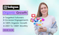 do organic instagram promotion for instagram growth