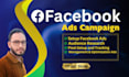 be a professional facebook ads campaign expert