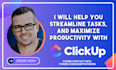 provide professional clickup setup and consultation services