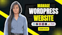 maintain and manage wordpress website