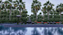 design your 3d garden, backyard ,terrace,realistic landscape