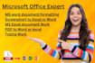 do ms excel, word, pdf conversion documents, typing, retype work