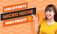 find low competition, high traffic, profitable micro niche