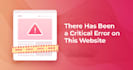 fix wordpress critical error, fatal error, warnings, plugin conflicts, and more