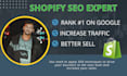 do advance shopify on page seo expert