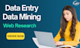 be your VA for data entry, data mining, and web research lead generation