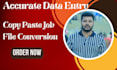 do accurate data entry, file conversion, copy paste