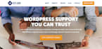 build an premium wordpress website