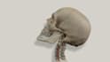 create high quality 3d medical animation, surgery animation