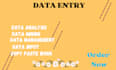give you the best data entry service
