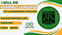 do assembly language programming for iot projects