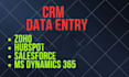 be a virtual assistant for CRM data entry and typing work
