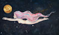 create a surreal painterly animation for your story or music