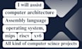 do computer architecture, operating system and assembly language projects