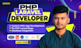 fix php laravel website bugs and be your php laravel developer