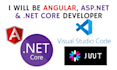 be angular asp net and net core developer