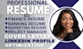 craft, banking, finance investment, auditing, accountant resume and cover letter