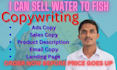 do ad copywriting, sales page, copywriting for product