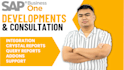 doing sap business one integration and development services