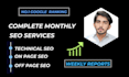 provide complete monthly seo services