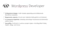design wordpress website, blogs, business website as website deveioper