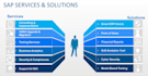 provide sap s4hana software services