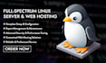 set up, manage, and optimize your linux server and web hosting