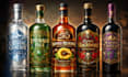 design vintage gin label vodka rum whiskey wine whisky bottl