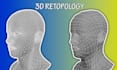 quickly retopologize and uv unwrap a 3d model