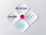 be your strapi cms developer build gatsby nextjs website
