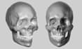 make professional sculpture for 3d printer