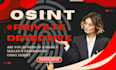 advanced osint expert and private info investigate with data analysis