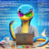 develop anything python related, fix bugs