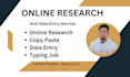 do online research, copy paste and excel data entry