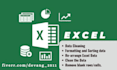 do excel data entry, excel data cleaning and formatting, copy past work