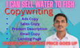 ad copywriting, email copywriting, sales copy