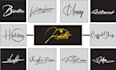 design signature, calligraphy, handwritten luxury fashion logo