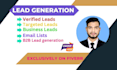 provide lead generation, targeted b2b leads and linkedin leads