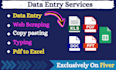 do data entry, web scraping, excel, typing, copy paste