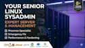 be your senior linux sysadmin for expert server repair and management