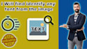 find identify any font from the image fast