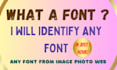 identify fonts swiftly and accurately for you