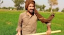 deliver your message as funny farmer