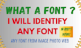 identify fonts swiftly for you delivering quick and precise results