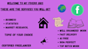 write reports, case studies research on business statistics, market research,