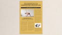 write articles and blog post content for your website